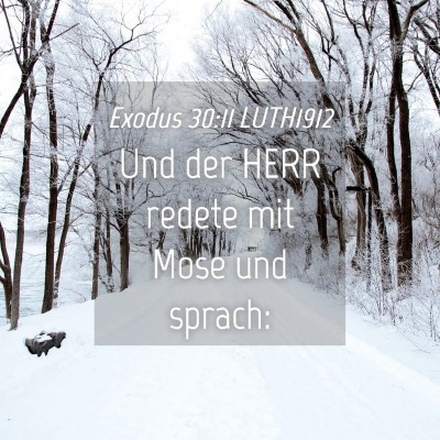 Picture 04 - Exodus 30:11 LUTH1912 - Und der HERR redete mit Mose und - Bible Verse Picture