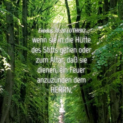Picture 04 - Exodus 30:20 LUTH1912 - wenn sie in die Hütte des Stifts gehen oder zum - Bible Verse Picture