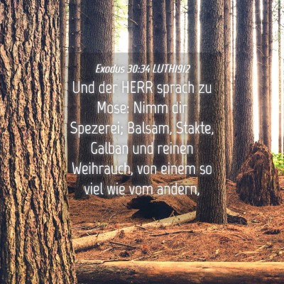Picture 04 - Exodus 30:34 LUTH1912 - Und der HERR sprach zu Mose: Nimm dir Spezerei; - Bible Verse Picture