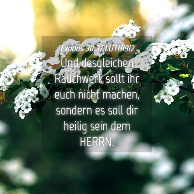 Picture 04 - Exodus 30:37 LUTH1912 - Und desgleichen Räuchwerk sollt ihr euch nicht - Bible Verse Picture