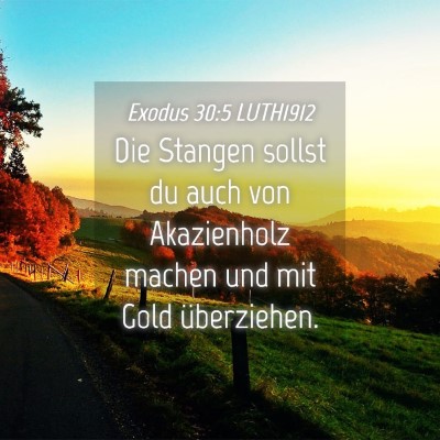 Picture 04 - Exodus 30:5 LUTH1912 - Die Stangen sollst du auch von Akazienholz machen - Bible Verse Picture