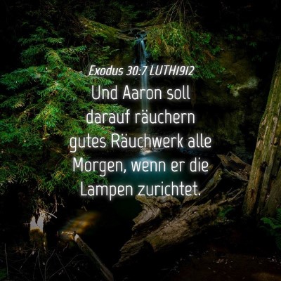 Picture 04 - Exodus 30:7 LUTH1912 - Und Aaron soll darauf räuchern gutes Räuchwerk - Bible Verse Picture