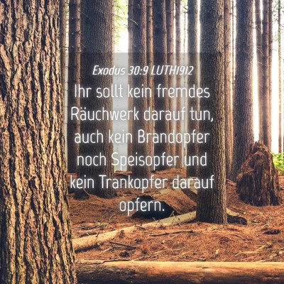 Picture 04 - Exodus 30:9 LUTH1912 - Ihr sollt kein fremdes Räuchwerk darauf tun, - Bible Verse Picture