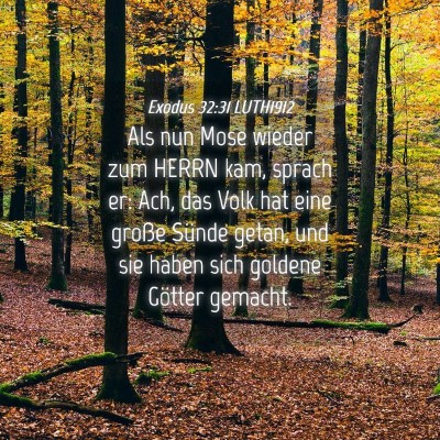 Picture 04 - Exodus 32:31 LUTH1912 - Als nun Mose wieder zum HERRN kam, sprach er: - Bible Verse Picture