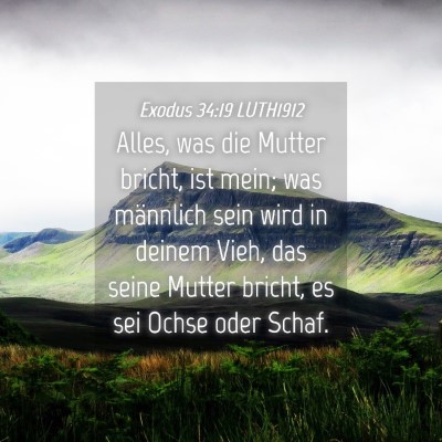 Picture 04 - Exodus 34:19 LUTH1912 - Alles, was die Mutter bricht, ist mein; was - Bible Verse Picture