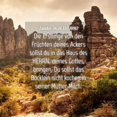 Picture 04 - Exodus 34:26 LUTH1912 - Die Erstlinge von den Früchten deines Ackers - Bible Verse Picture