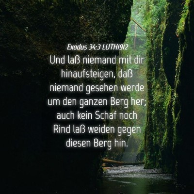 Picture 04 - Exodus 34:3 LUTH1912 - Und laß niemand mit dir hinaufsteigen, daß - Bible Verse Picture