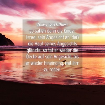 Picture 04 - Exodus 34:35 LUTH1912 - so sahen dann die Kinder Israel sein Angesicht - Bible Verse Picture