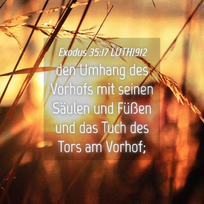 Picture 04 - Exodus 35:17 LUTH1912 - den Umhang des Vorhofs mit seinen Säulen und - Bible Verse Picture