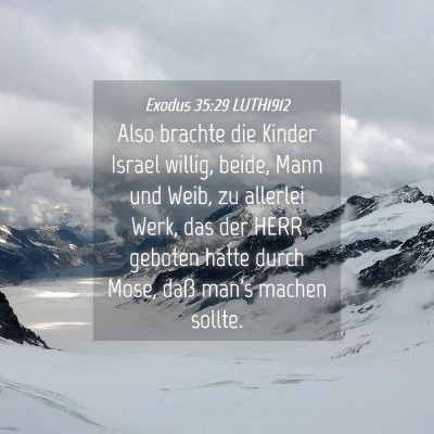Picture 04 - Exodus 35:29 LUTH1912 - Also brachte die Kinder Israel willig, beide, - Bible Verse Picture