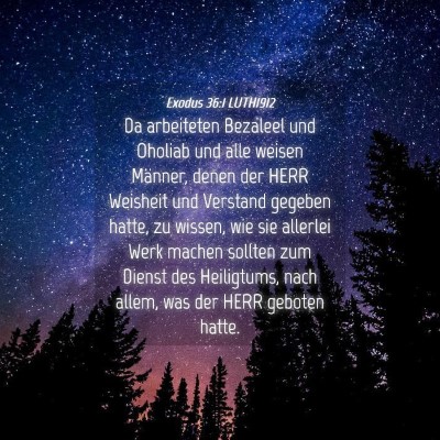 Picture 04 - Exodus 36:1 LUTH1912 - Da arbeiteten Bezaleel und Oholiab und alle - Bible Verse Picture