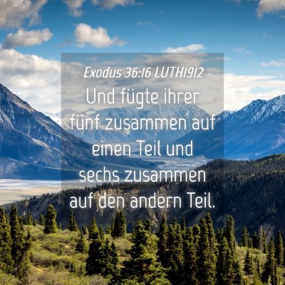 Picture 04 - Exodus 36:16 LUTH1912 - Und fügte ihrer fünf zusammen auf einen Teil - Bible Verse Picture