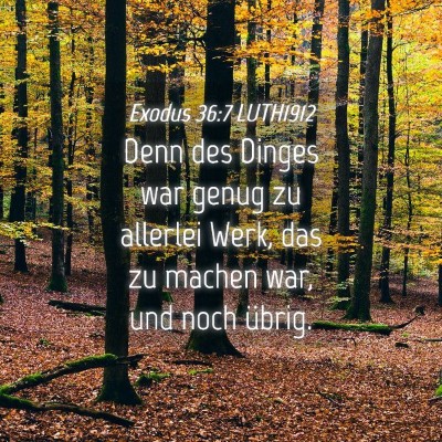 Picture 04 - Exodus 36:7 LUTH1912 - Denn des Dinges war genug zu allerlei Werk, das - Bible Verse Picture