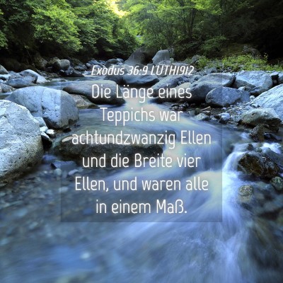 Picture 04 - Exodus 36:9 LUTH1912 - Die Länge eines Teppichs war achtundzwanzig - Bible Verse Picture