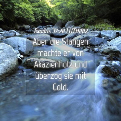 Picture 04 - Exodus 37:28 LUTH1912 - Aber die Stangen machte er von Akazienholz und - Bible Verse Picture