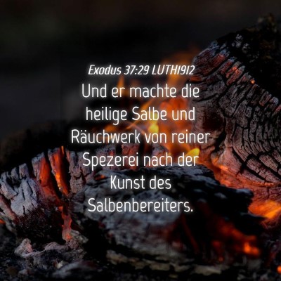 Picture 04 - Exodus 37:29 LUTH1912 - Und er machte die heilige Salbe und Räuchwerk - Bible Verse Picture