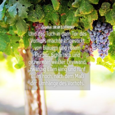 Picture 04 - Exodus 38:18 LUTH1912 - Und das Tuch in dem Tor des Vorhofs machte er - Bible Verse Picture