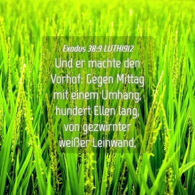 Picture 04 - Exodus 38:9 LUTH1912 - Und er machte den Vorhof: Gegen Mittag mit einem - Bible Verse Picture