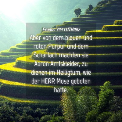 Picture 04 - Exodus 39:1 LUTH1912 - Aber von dem blauen und roten Purpur und dem - Bible Verse Picture