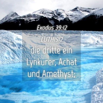 Picture 04 - Exodus 39:12 LUTH1912 - die dritte ein Lynkurer, Achat und - Bible Verse Picture