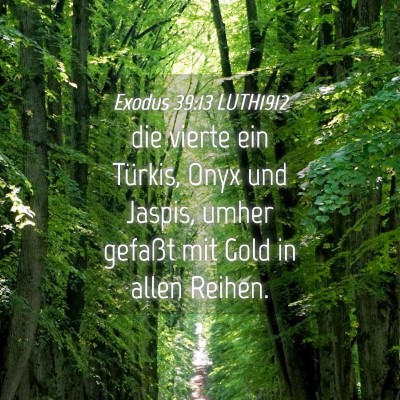 Picture 04 - Exodus 39:13 LUTH1912 - die vierte ein Türkis, Onyx und Jaspis, umher - Bible Verse Picture
