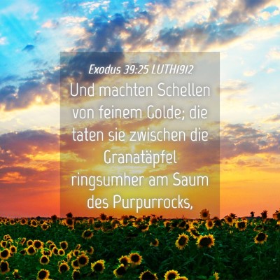Picture 04 - Exodus 39:25 LUTH1912 - Und machten Schellen von feinem Golde; die taten - Bible Verse Picture