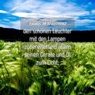 Picture 04 - Exodus 39:37 LUTH1912 - den schönen Leuchter mit den Lampen zubereitet - Bible Verse Picture
