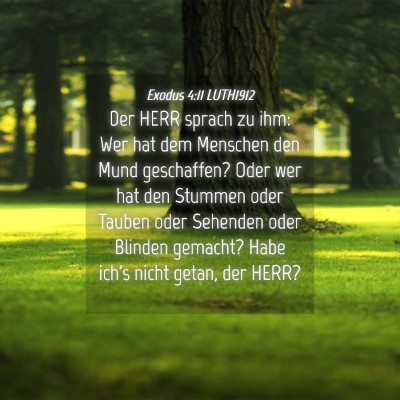 Picture 04 - Exodus 4:11 LUTH1912 - Der HERR sprach zu ihm: Wer hat dem Menschen den - Bible Verse Picture