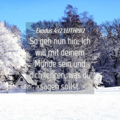 Picture 04 - Exodus 4:12 LUTH1912 - So geh nun hin: Ich will mit deinem Munde sein - Bible Verse Picture