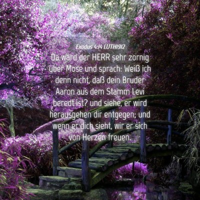 Picture 04 - Exodus 4:14 LUTH1912 - Da ward der HERR sehr zornig über Mose und - Bible Verse Picture