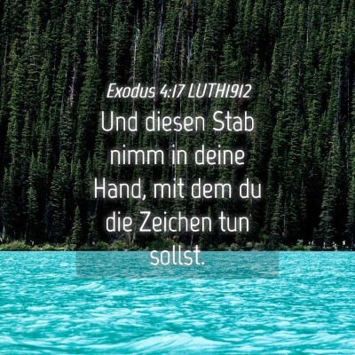 Picture 04 - Exodus 4:17 LUTH1912 - Und diesen Stab nimm in deine Hand, mit dem du - Bible Verse Picture