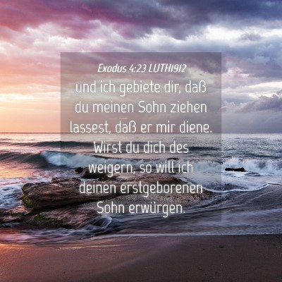 Picture 04 - Exodus 4:23 LUTH1912 - und ich gebiete dir, daß du meinen Sohn ziehen - Bible Verse Picture