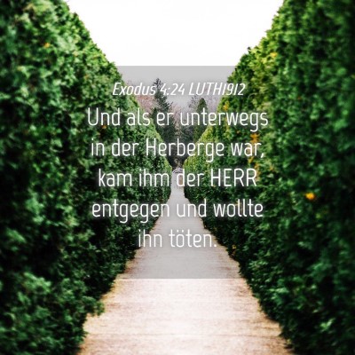 Picture 04 - Exodus 4:24 LUTH1912 - Und als er unterwegs in der Herberge war, kam ihm - Bible Verse Picture
