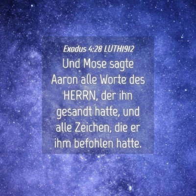 Picture 04 - Exodus 4:28 LUTH1912 - Und Mose sagte Aaron alle Worte des HERRN, der - Bible Verse Picture