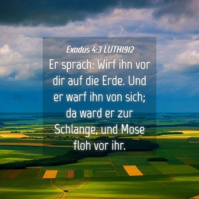 Picture 04 - Exodus 4:3 LUTH1912 - Er sprach: Wirf ihn vor dir auf die Erde. Und er - Bible Verse Picture