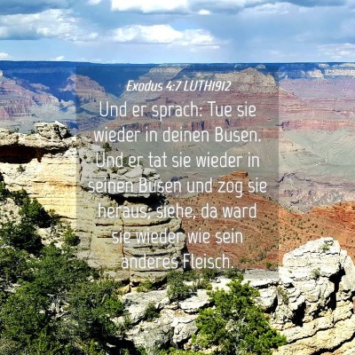 Picture 04 - Exodus 4:7 LUTH1912 - Und er sprach: Tue sie wieder in deinen Busen. - Bible Verse Picture
