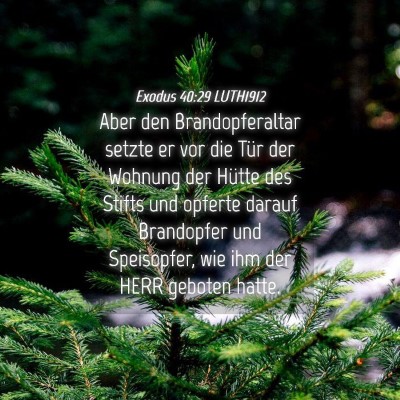 Picture 04 - Exodus 40:29 LUTH1912 - Aber den Brandopferaltar setzte er vor die Tür - Bible Verse Picture