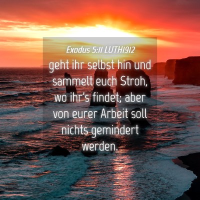 Picture 04 - Exodus 5:11 LUTH1912 - geht ihr selbst hin und sammelt euch Stroh, wo - Bible Verse Picture