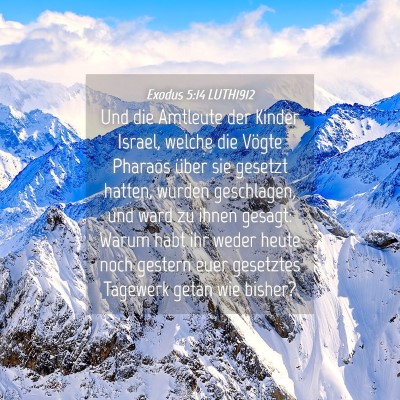 Picture 04 - Exodus 5:14 LUTH1912 - Und die Amtleute der Kinder Israel, welche die - Bible Verse Picture