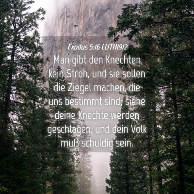 Picture 04 - Exodus 5:16 LUTH1912 - Man gibt den Knechten kein Stroh, und sie sollen - Bible Verse Picture