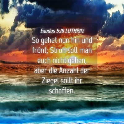 Picture 04 - Exodus 5:18 LUTH1912 - So gehet nun hin und frönt; Stroh soll man euch - Bible Verse Picture