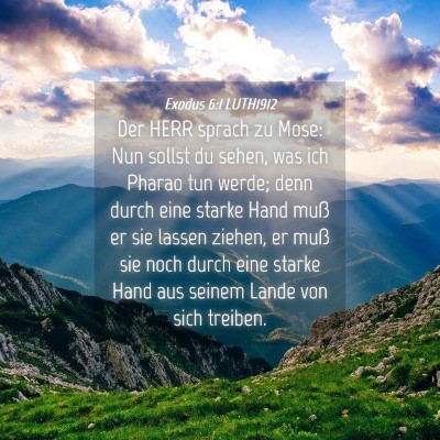Picture 04 - Exodus 6:1 LUTH1912 - Der HERR sprach zu Mose: Nun sollst du sehen, was - Bible Verse Picture