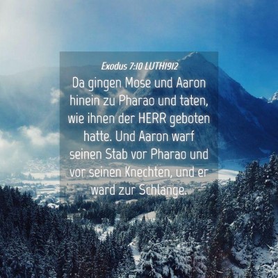 Picture 04 - Exodus 7:10 LUTH1912 - Da gingen Mose und Aaron hinein zu Pharao und - Bible Verse Picture