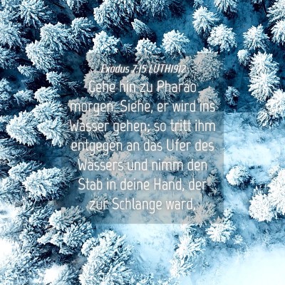 Picture 04 - Exodus 7:15 LUTH1912 - Gehe hin zu Pharao morgen. Siehe, er wird ins - Bible Verse Picture