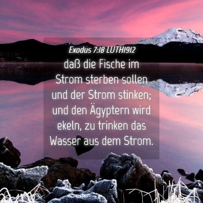 Picture 04 - Exodus 7:18 LUTH1912 - daß die Fische im Strom sterben sollen und der - Bible Verse Picture