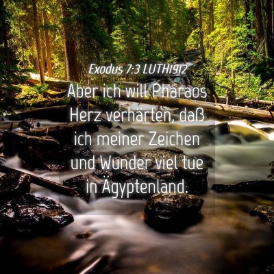 Picture 04 - Exodus 7:3 LUTH1912 - Aber ich will Pharaos Herz verhärten, daß ich - Bible Verse Picture