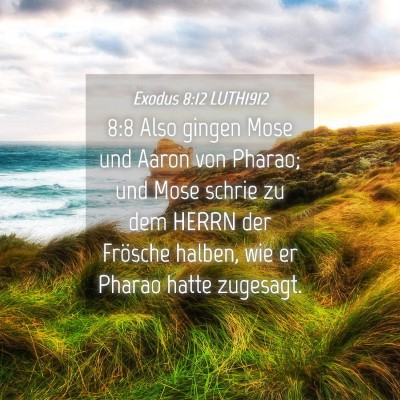 Picture 04 - Exodus 8:12 LUTH1912 - 8:8 Also gingen Mose und Aaron von Pharao; und - Bible Verse Picture