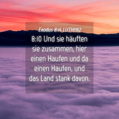 Picture 04 - Exodus 8:14 LUTH1912 - 8:10 Und sie häuften sie zusammen, hier einen - Bible Verse Picture