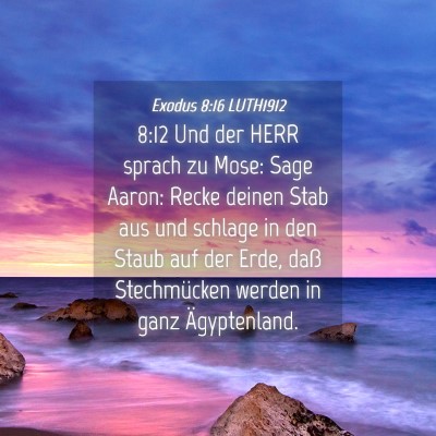 Picture 04 - Exodus 8:16 LUTH1912 - 8:12 Und der HERR sprach zu Mose: Sage Aaron: - Bible Verse Picture