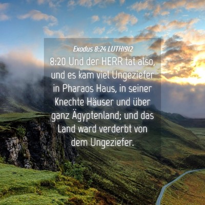 Picture 04 - Exodus 8:24 LUTH1912 - 8:20 Und der HERR tat also, und es kam viel - Bible Verse Picture